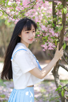 中国成语大会2015